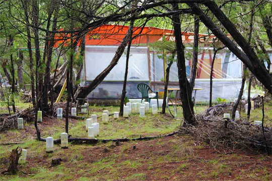 Dapacu Art Studios Austin Texas