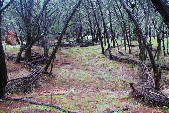 Natural Museum Of Nature in Austin Texas Present The Artworks in Land Art By Dapacu Artit Art Gallery Show