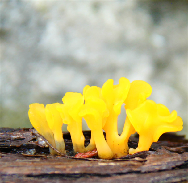 Photo By Photographer Photography From Austin Texas
Dapacu Photos Museum Exhibition