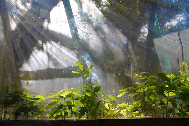 Living Wall Photography Show Exhibition